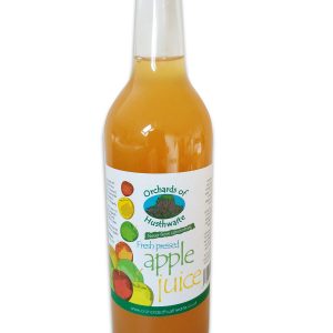 fresh pressed apple juice